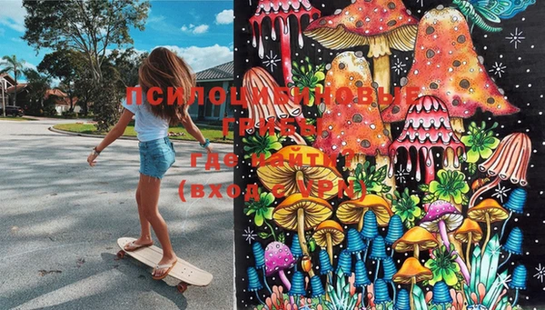 MESCALINE Надым