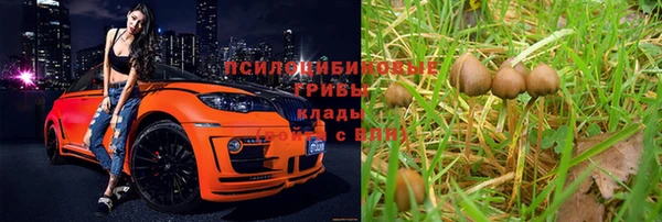 СК Нефтегорск