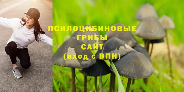MESCALINE Надым