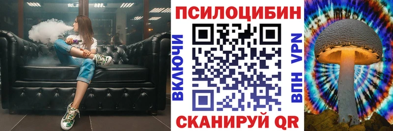 купить наркотики сайты  Новозыбков  Псилоцибиновые грибы Psilocybe 