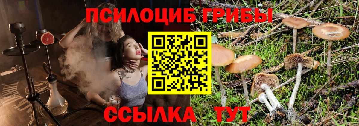 Галлюциногенные грибы ЛСД  как найти наркотики  Новозыбков  Вход с VPN  Псилоцибиновые грибы Magic Shrooms 
