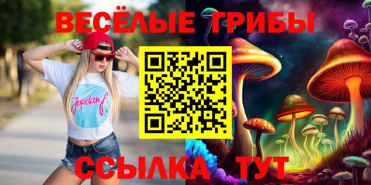 Галлюциногенные грибы прущие грибы  Новозыбков 