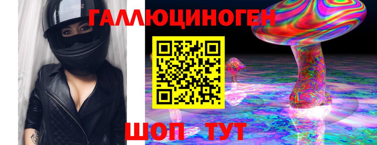 Псилоцибиновые грибы мицелий Новозыбков