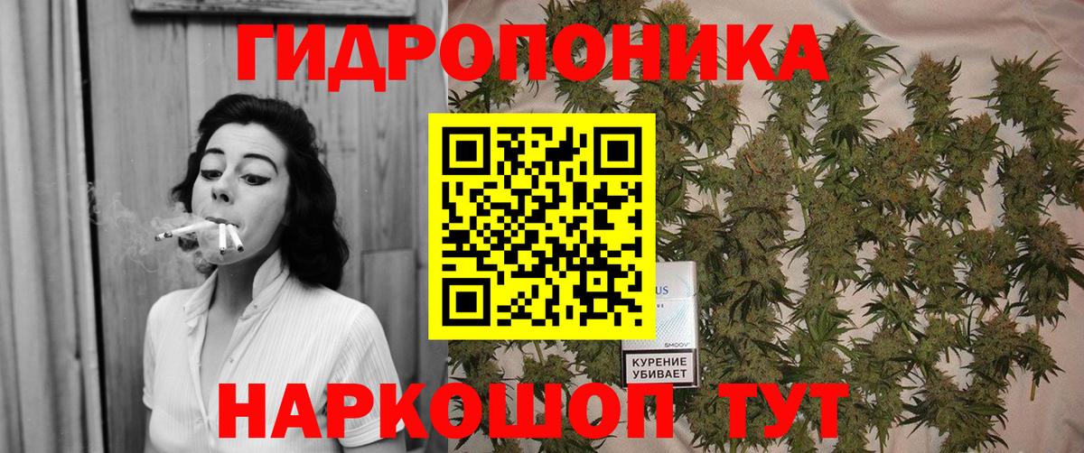 Бошки марихуана LSD WEED  Вход с VPN  Новозыбков  Бошки марихуана SATIVA & INDICA  Бошки марихуана семена 